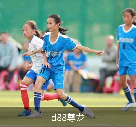 d88尊龙介绍